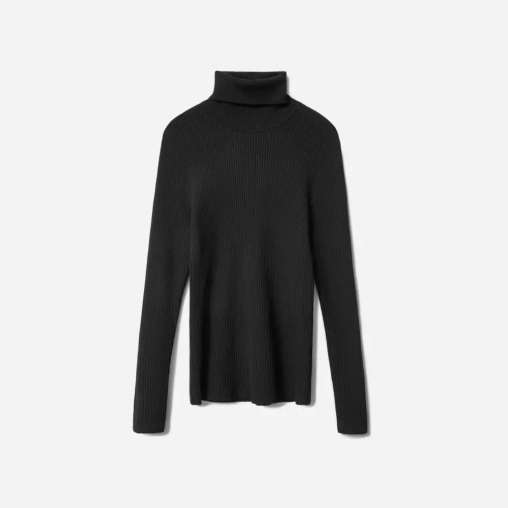 The Italian Merino Rib Turtleneck